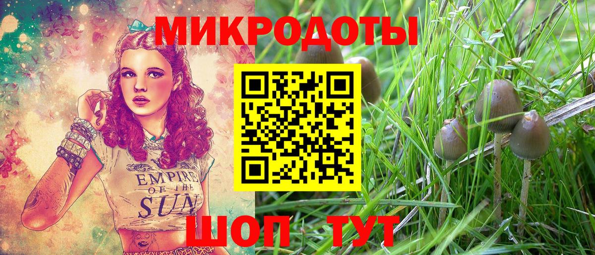 Псилоцибиновые грибы Psilocybe Щёлково